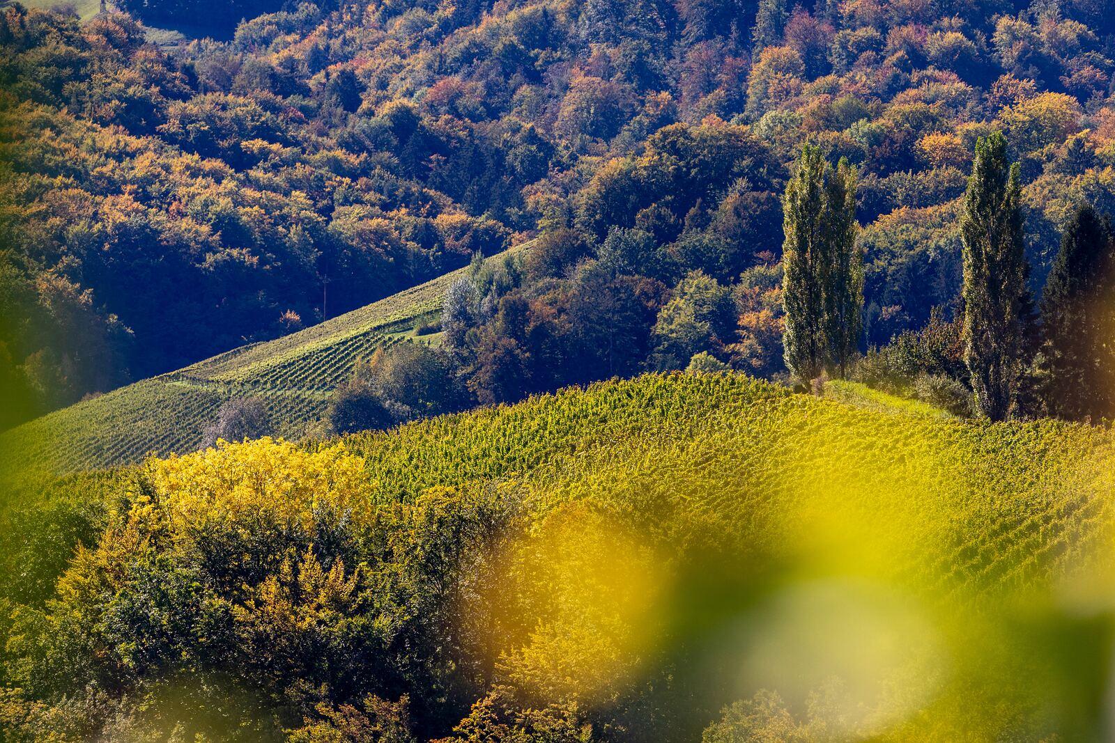 Warum sich ein Herbstbesuch lohnt