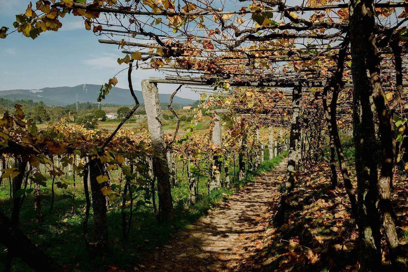 Draußen: Wandern, Radfahren & Golf