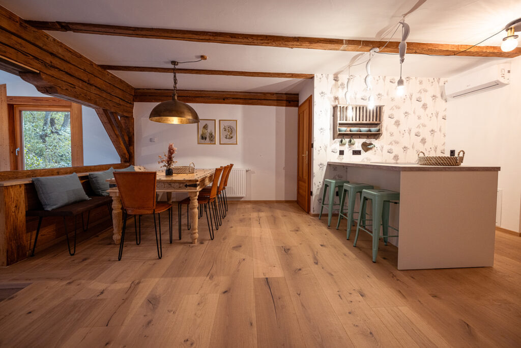 Wohnung Anna Wohnraum