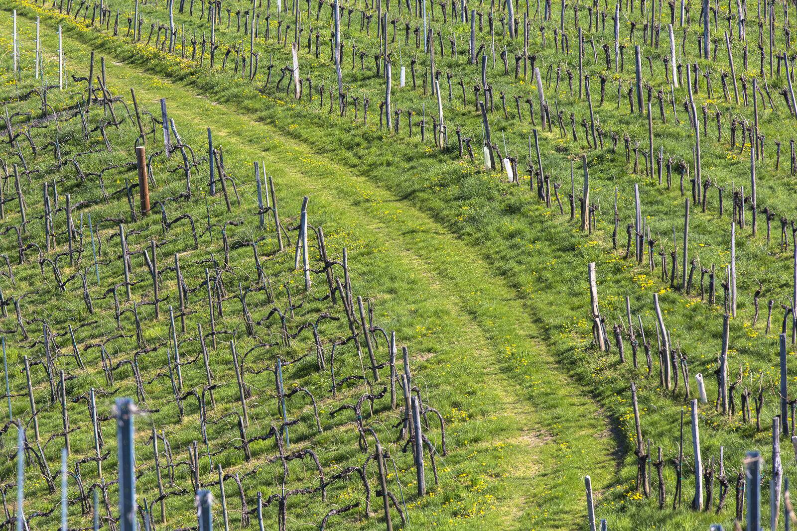 Warum die kurzen Wege die meistgegangenen sind